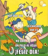 Haga click para ver la imagen ampliada no dar palo al algua.jpg